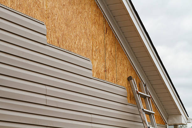 Professional Wood Siding technician working in Long Creek, IL